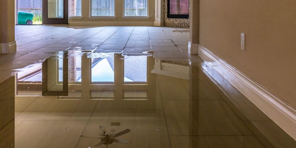 The Real Cost of Water Damage: What Every Property Owner Should Know